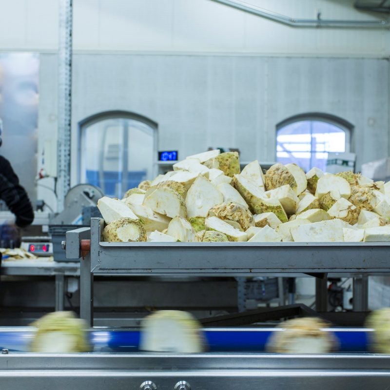 Steglinge nominerade till Årets Nytänkare av MiH