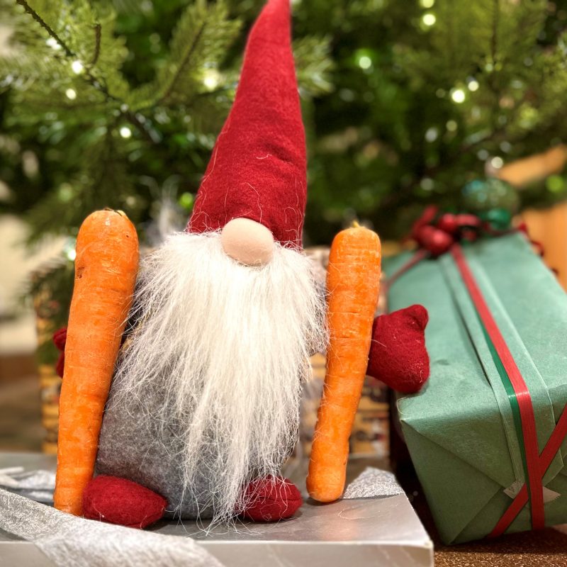 Årets julhälsning från Steglinge